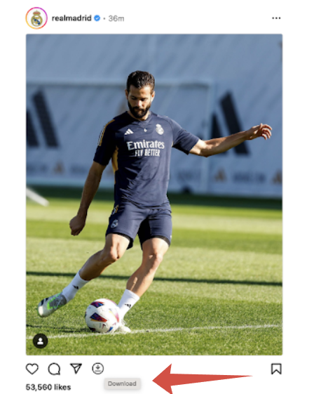 Video Downloader for Instagram