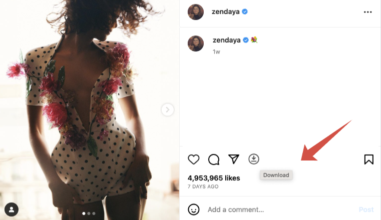 Downloader for Instagram