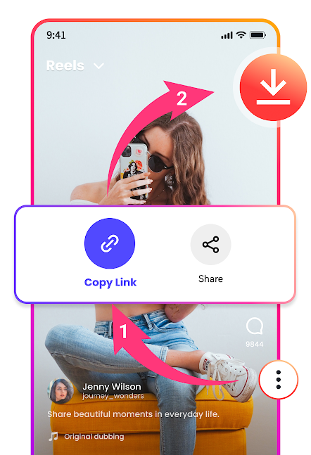 Video Downloader: Story Video
