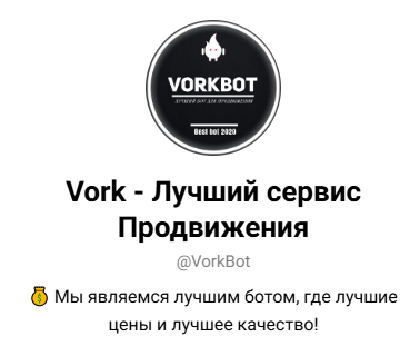 Vork - Лучший сервис Продвижения